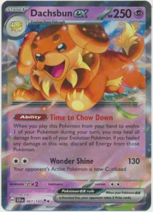 Dachsbun ex - 067/142