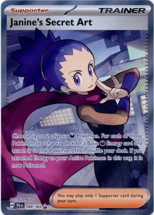 Janine's Secret Art - 088/064