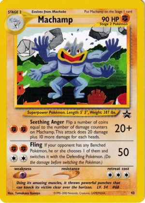 Machamp - 43