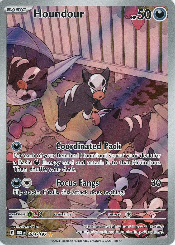 Houndour – 204/197