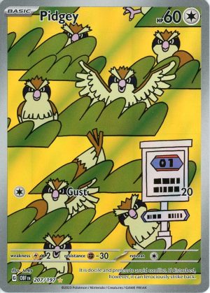 Pidgey - 207/197