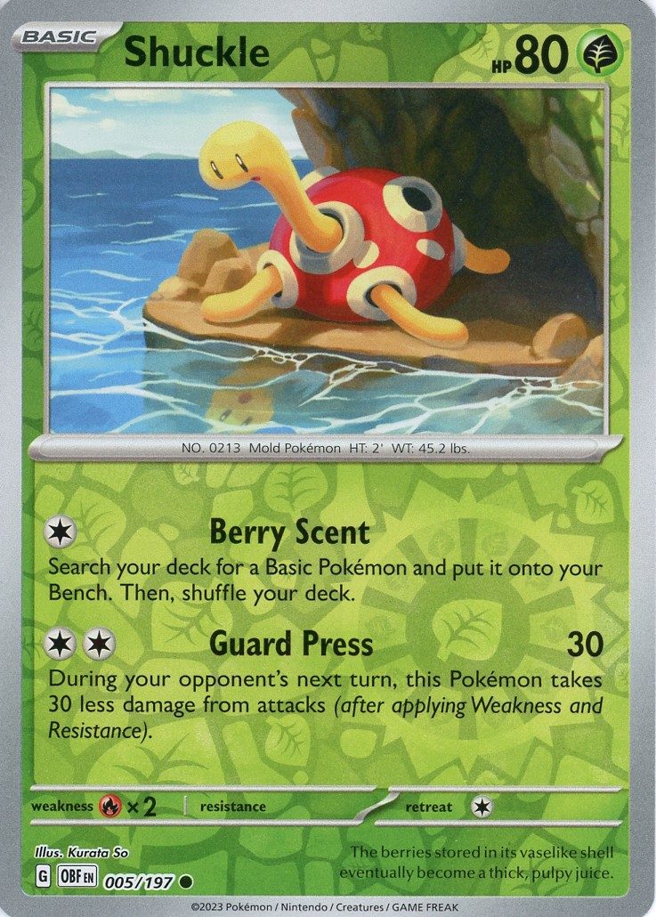 Shuckle – 005/197 – Reverse
