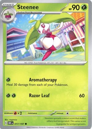 Steenee - 017/197