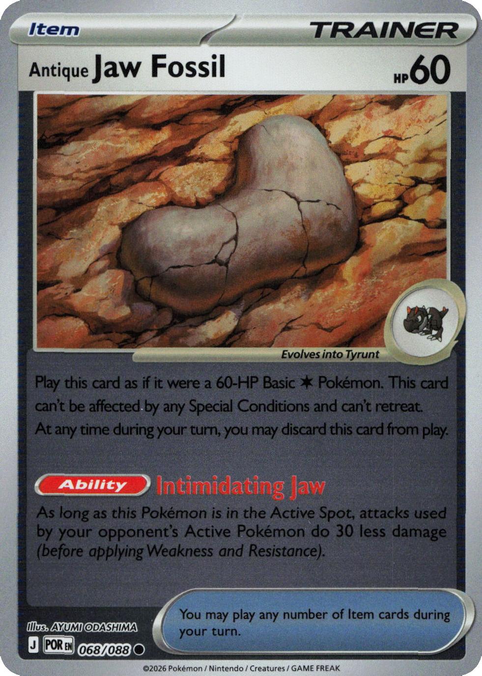 Antique Jaw Fossil – 068/088 – Reverse