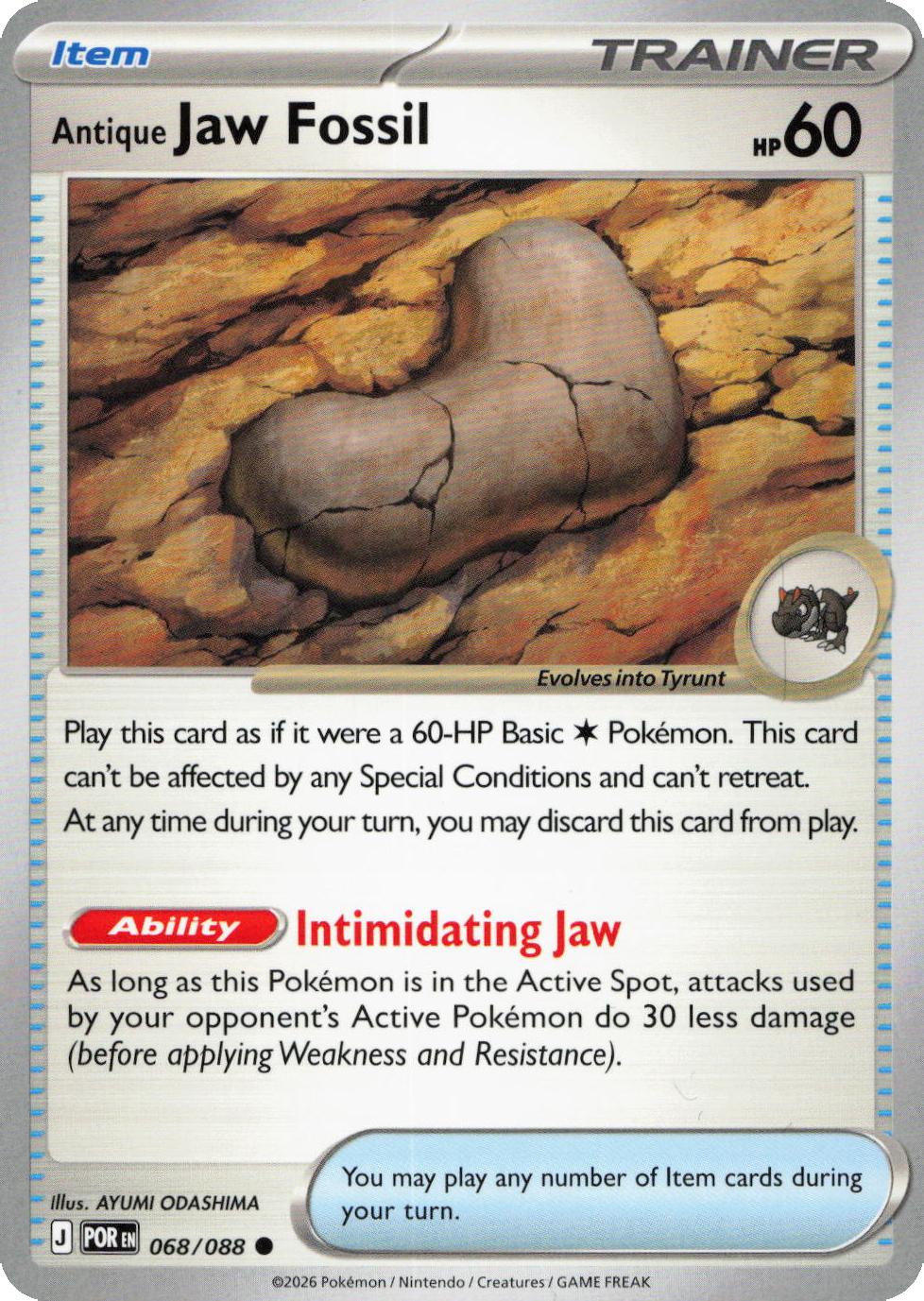 Antique Jaw Fossil – 068/088