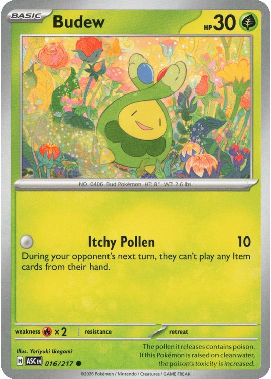 Budew – 016/217