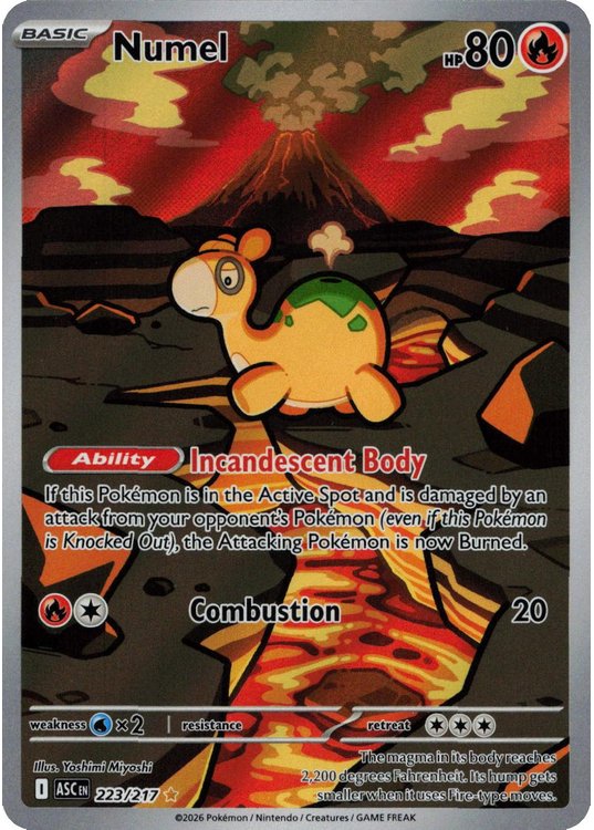 Numel – 223/217