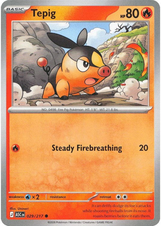 Tepig - 029/217