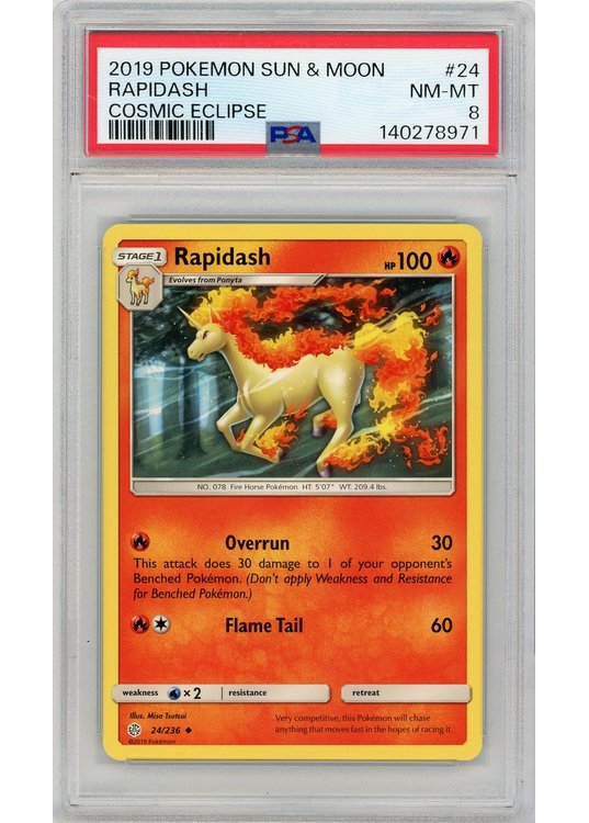 Rapidash 24/236 PSA 8